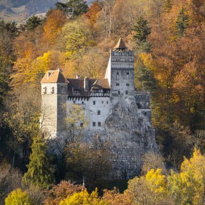 Bran castle, Transsylvania, Romania, autumn, trees, sunlight,  